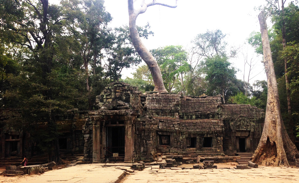 cambodia-tempel-trae